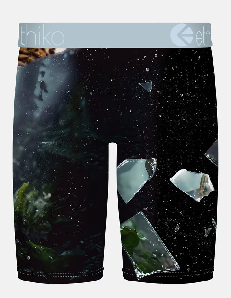 ETHIKA Shatter Cat Staple Mens Boxer Briefs