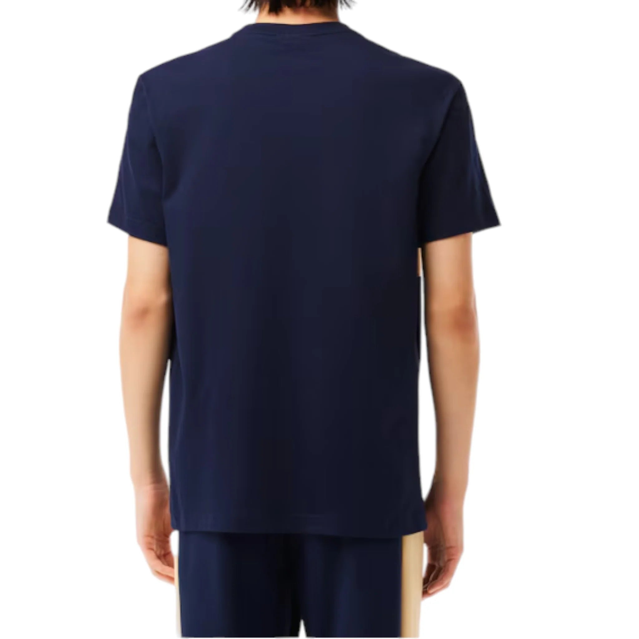 Lacoste Men's Regular Fit Printed Colorblock T-Shirt