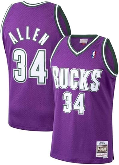 Men's Ray Allen Purple Milwaukee Bucks 2000/01 Hardwood Classics Swingman Player Jersey