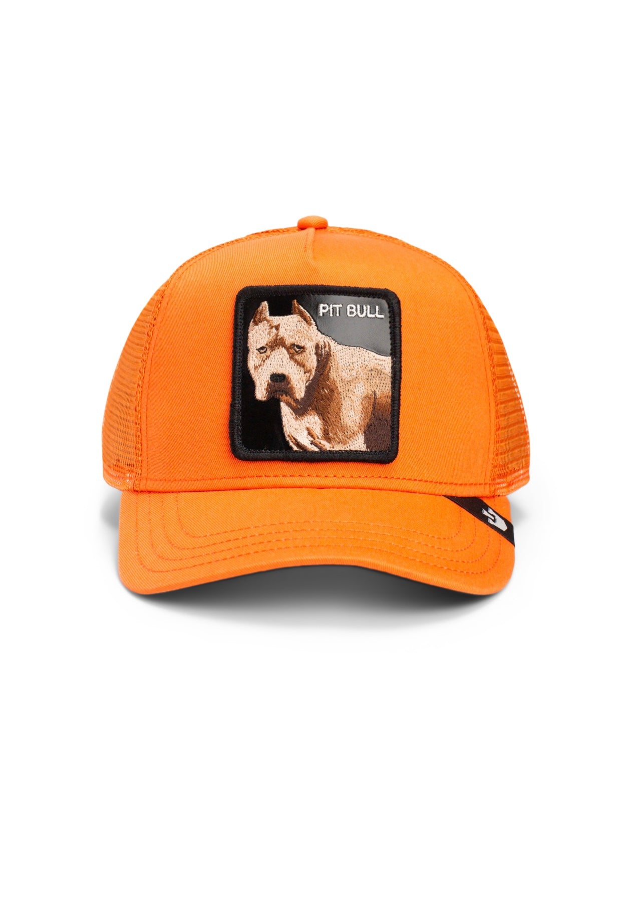 the dog pitbull goorin bros (orange)
