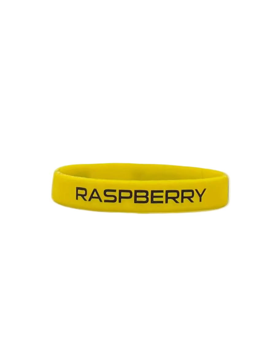 GV Gallery Raspberry Hills FW25 YELLOW WRISTBAND