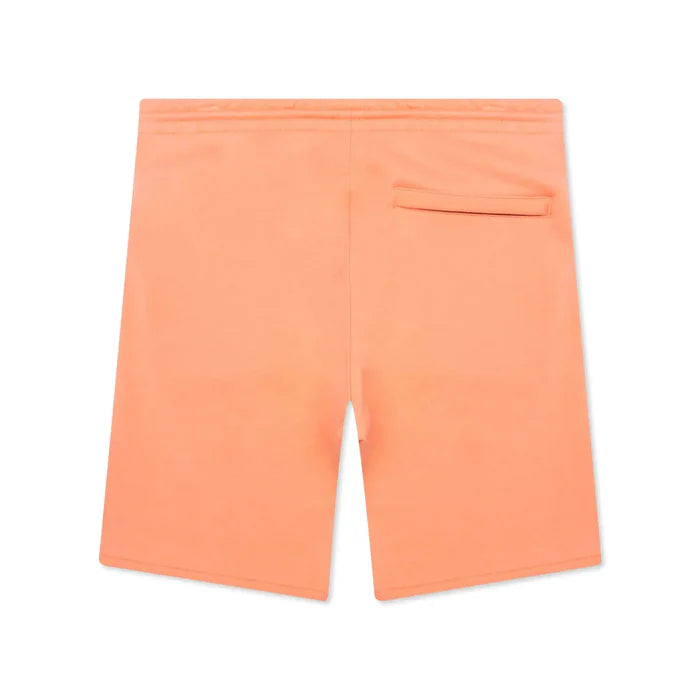 ICECREAM Reflect Short - Canyon Sunset