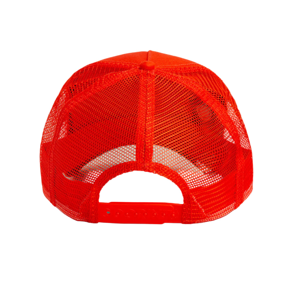 The   Nonstop   Cheetah