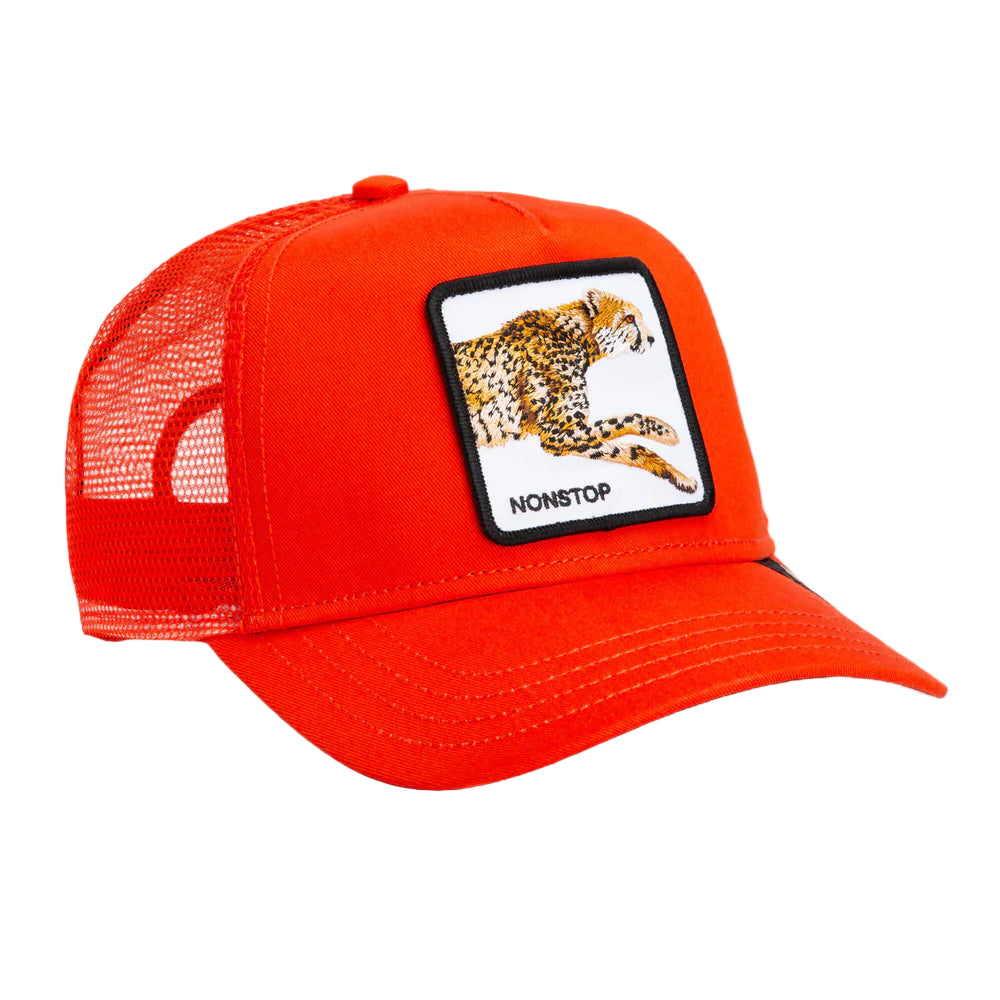 The   Nonstop   Cheetah