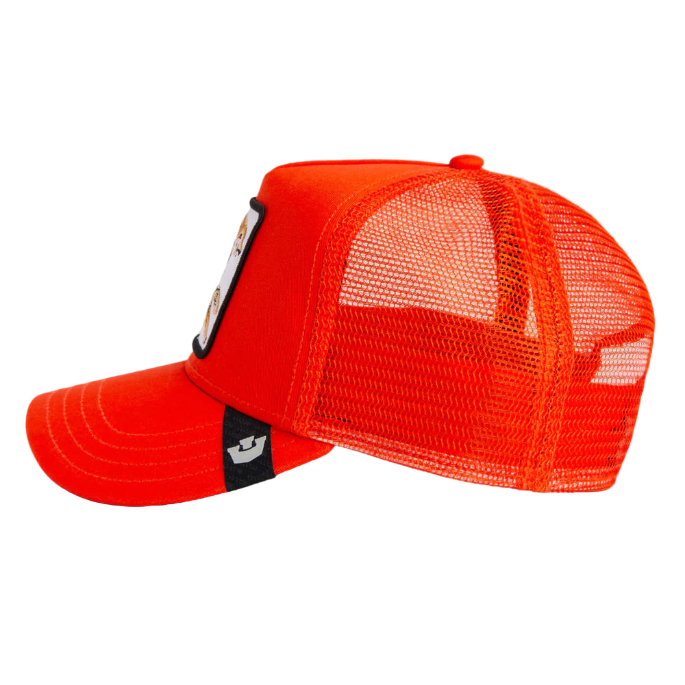 The   Nonstop   Cheetah