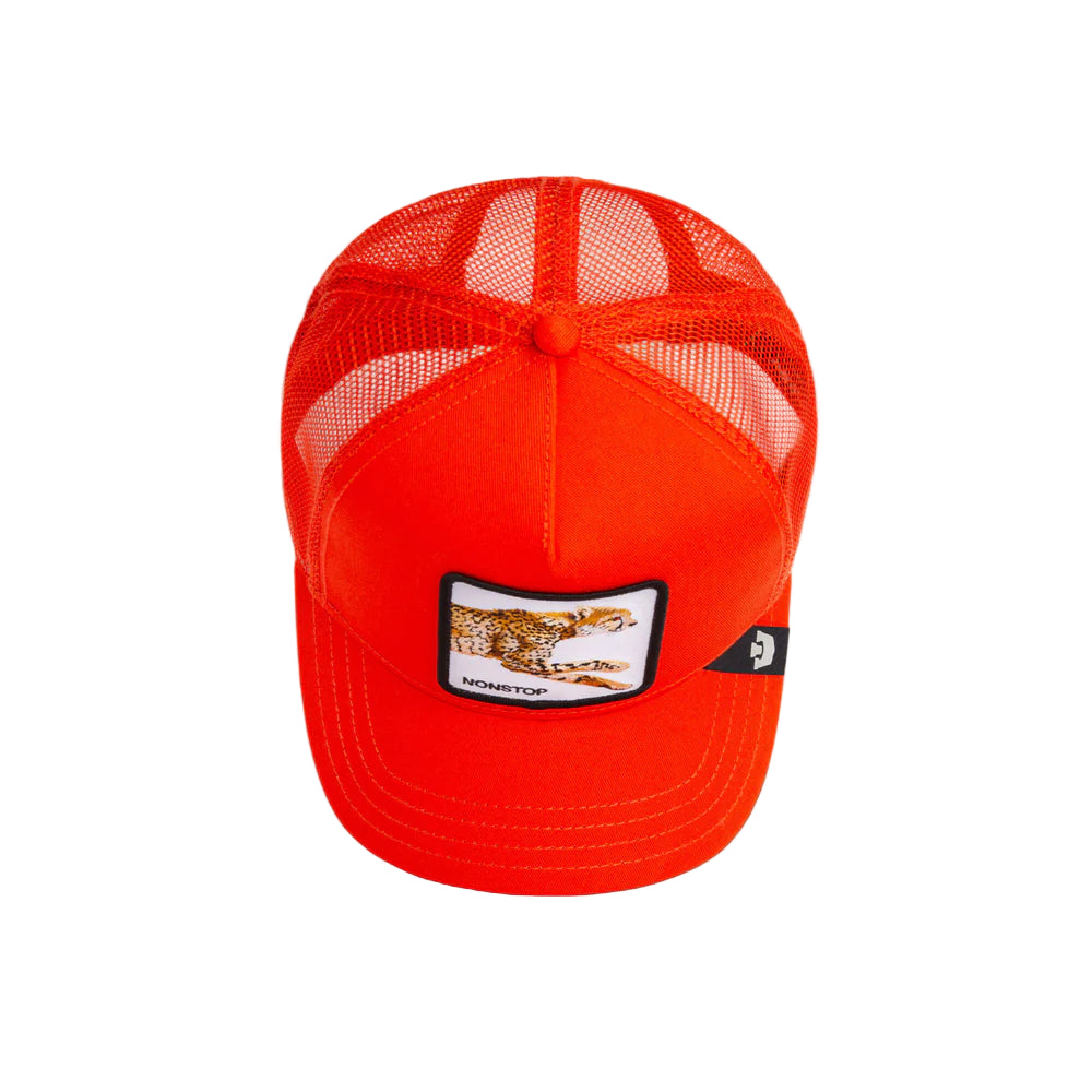 The   Nonstop   Cheetah