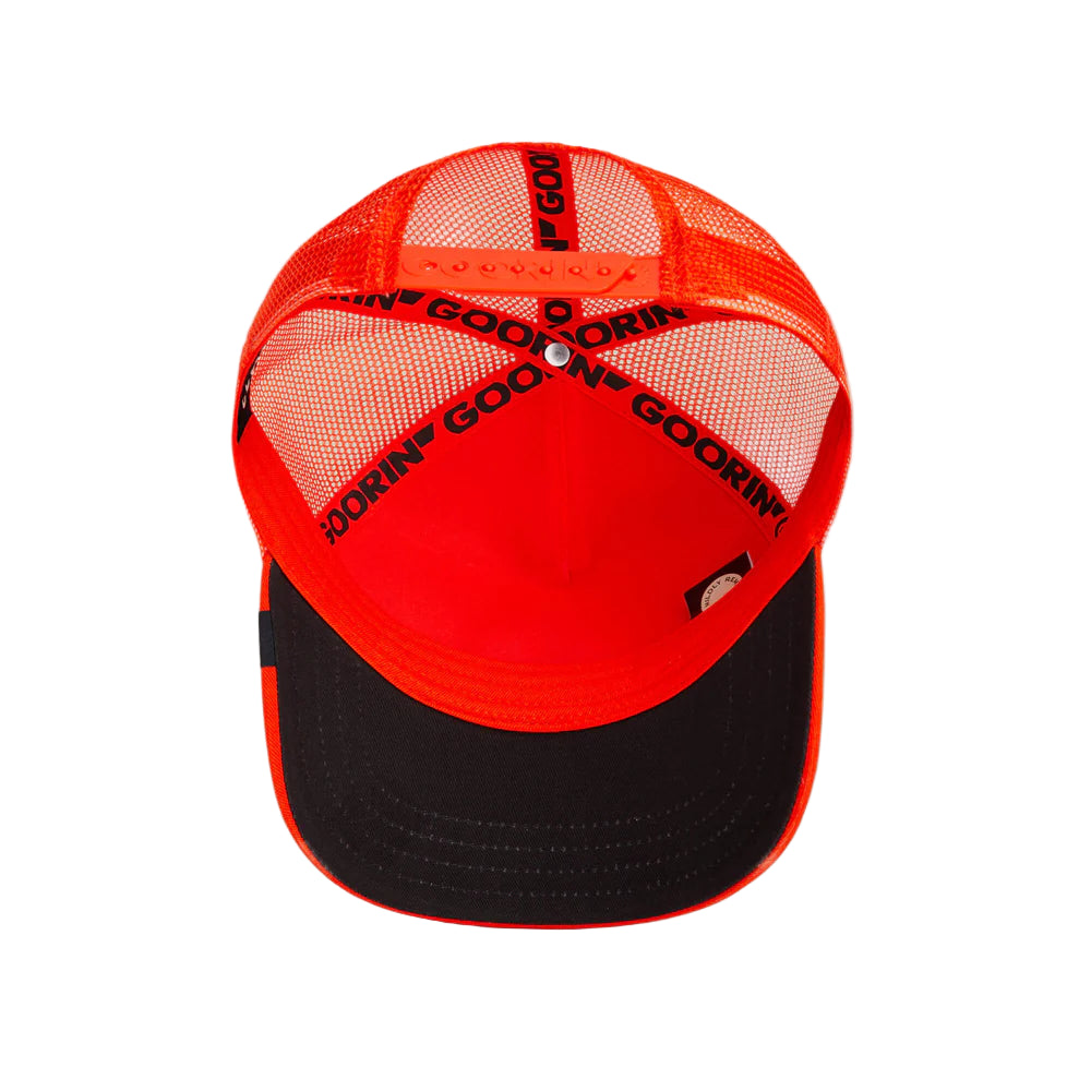 The   Nonstop   Cheetah