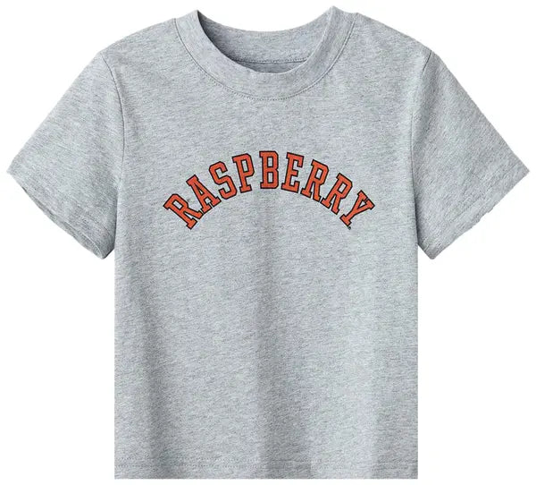 GV Gallery College Tee 'Heather Grey'