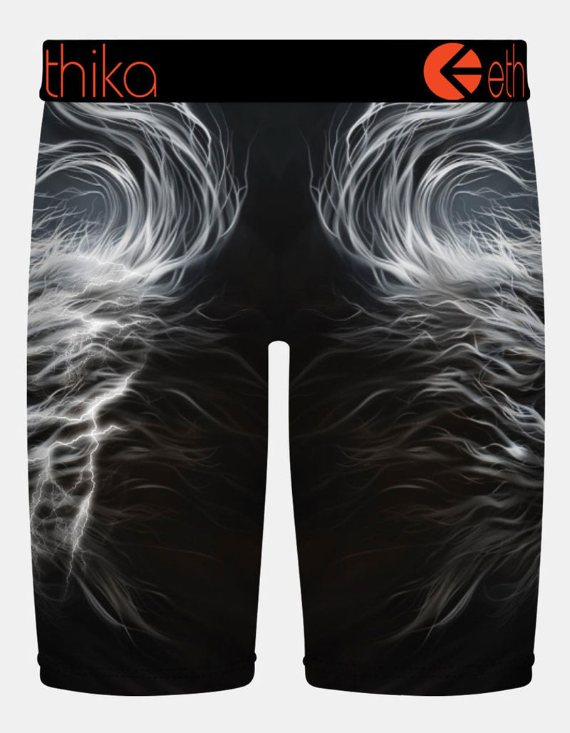ETHIKA Lion Strike Staple Mens Boxer Briefs