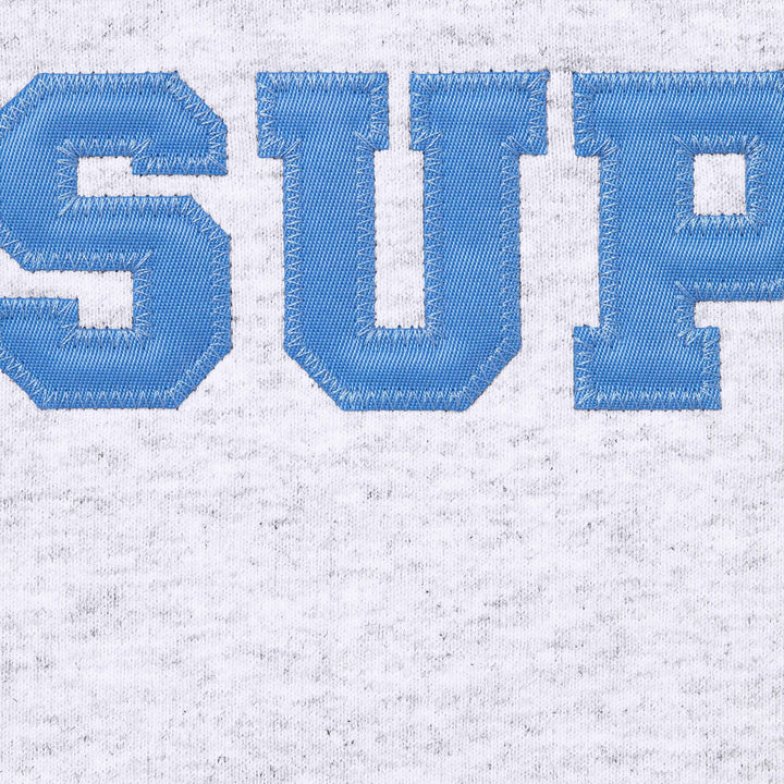 Supreme Collegiate Applique Zip Up Hooded Sweatshirt Ash Grey