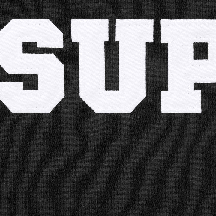 Supreme Collegiate Applique Zip Up Hooded Sweatshirt black