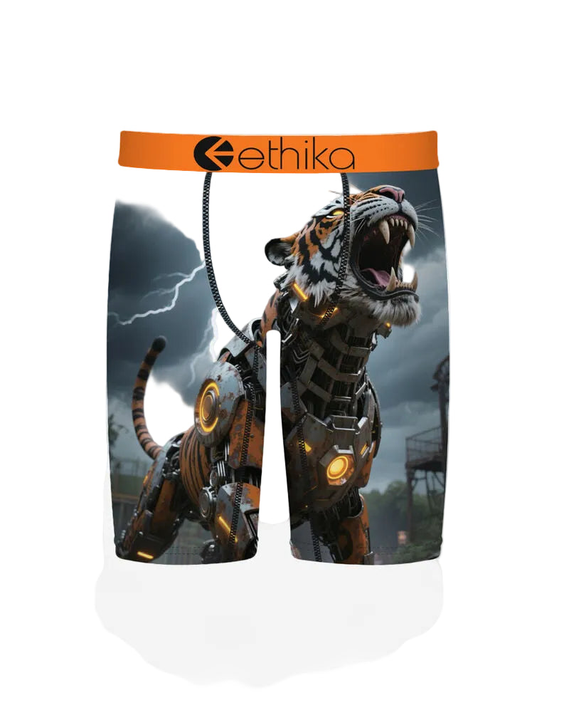 Cyberfang Briefs