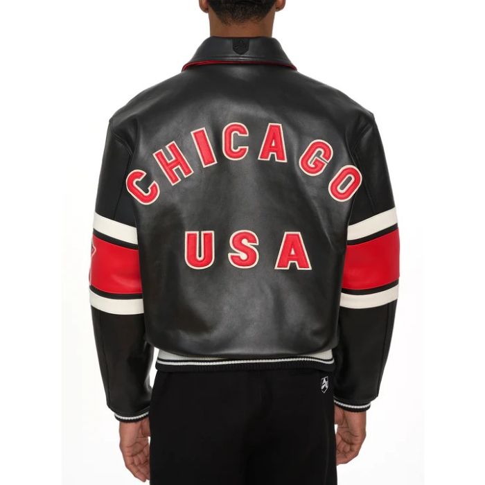 AVIREX LIMITED EDITION CITY SERIES CHICAGO JACKET
