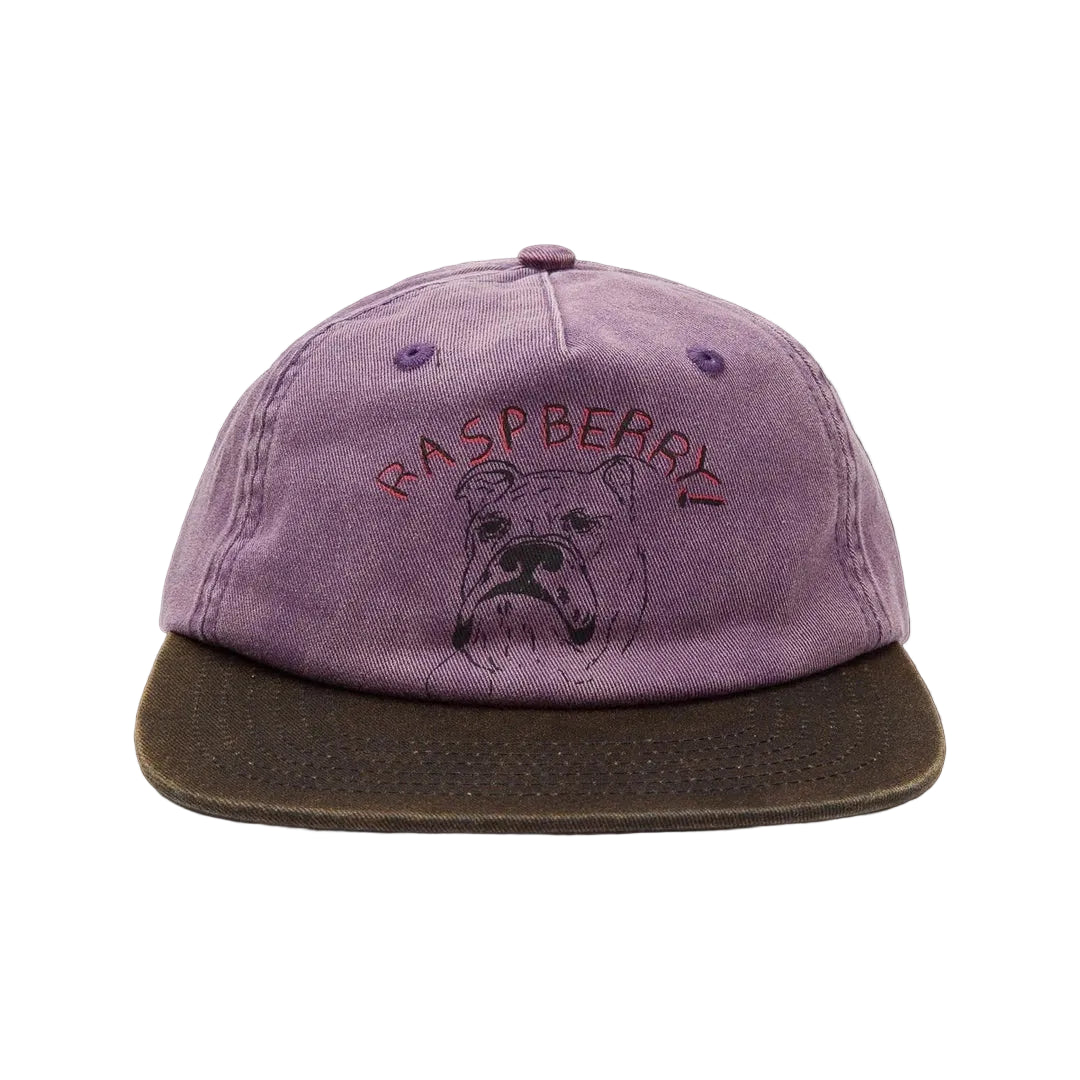 The GV Gallery Bulldog Hat