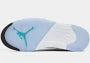 Air Jordan 5 “Grape”